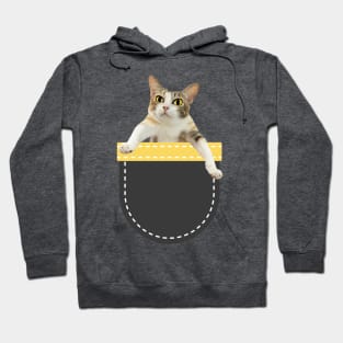 Calico Cat in Pocket Hoodie